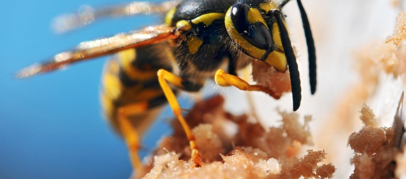 Indented Quotes and Images –  beautiful