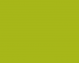 Fresh rustic ideas for your interior